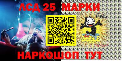 индика Можга
