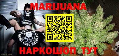 индика Можга