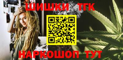 индика Можга