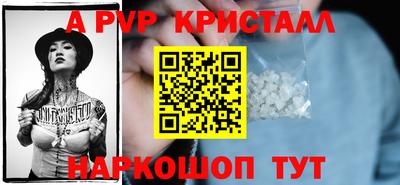 индика Можга