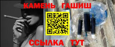 индика Можга
