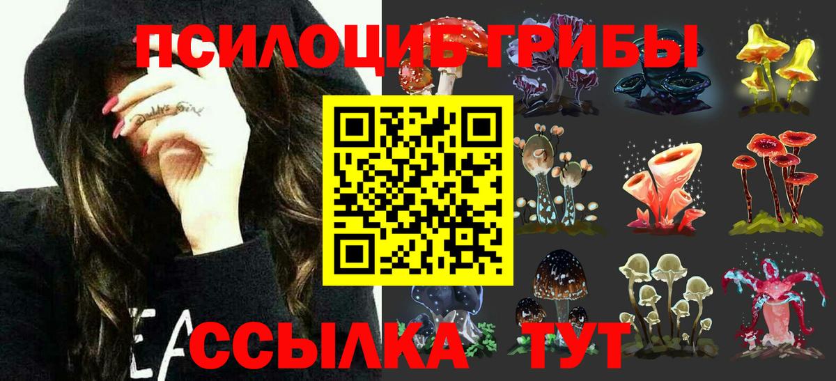 Псилоцибиновые грибы Psilocybe  Вход с VPN  Сорочинск 