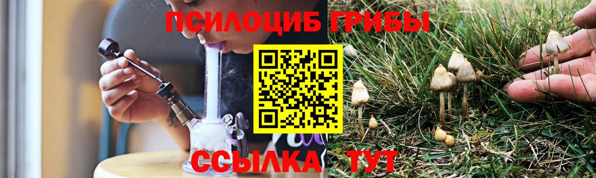 Псилоцибиновые грибы мицелий Сорочинск